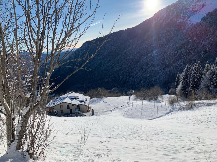 neve neve